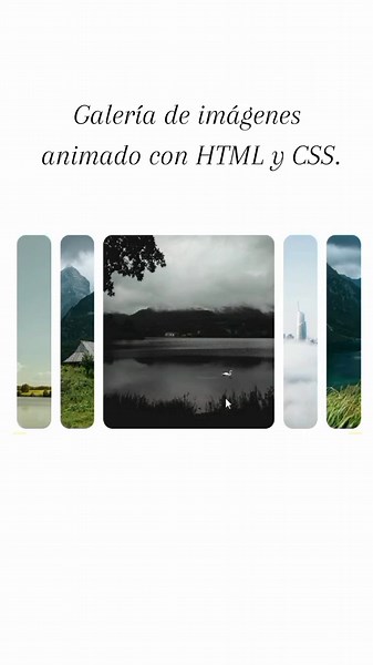 Galería de imágenes animado usando HTML y CSS #imagenes #htmlcss #videos #paginaweb #production #tiktok #animacion #galeriadefotos #galeriaimagen #galeria #html #diseño #programming #tutorial #codigo #viral