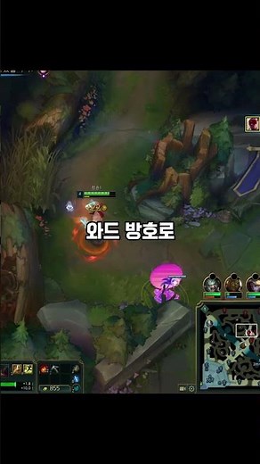 이걸 모르면 와드방호 절반도 못 씁니다｜와드방호 실전 TOP3