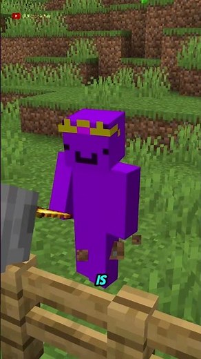 Creating the Fastest Horse Possible in Minecraft 😲