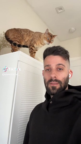 Pixel (@meetpixel_)’s videos with original sound - Pixel