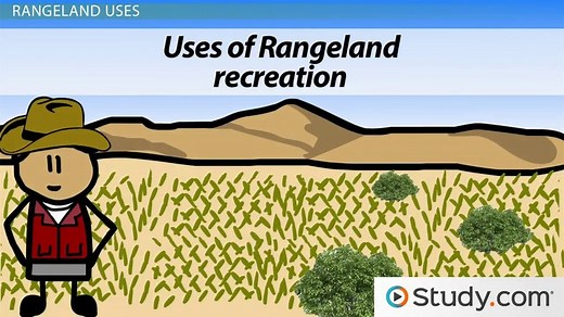 Rangeland Uses, Importance & Physical Characteristics