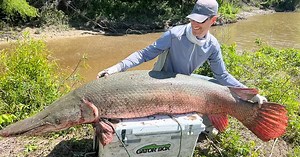 Kentucky fisherman likely breaks world record catching giant alligator gar in Texas