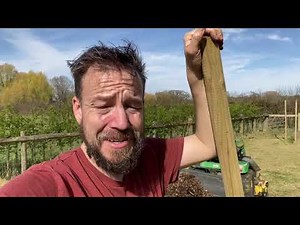 How To Make Free Tree Guards And Weed Suppressant