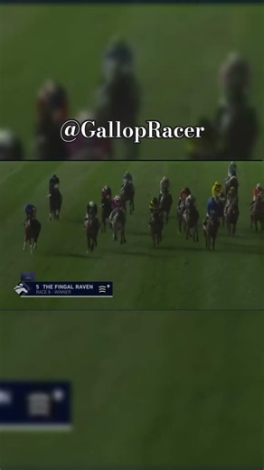 The Fingal Raven 😎🇧🇭🇦🇪 #horse #horseracing #automobile #dubai #equestrian #race #racing #shorts
