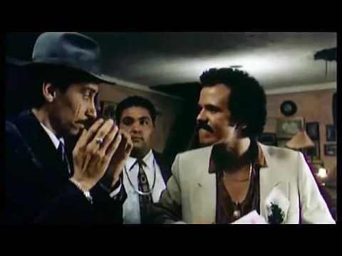GATO NEGRO, GATO BLANCO - Tráiler