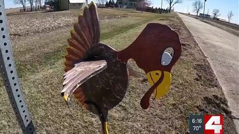 Turkey tracks near Nilwood draw thousands of Route 66 visitors each year | Haystack News