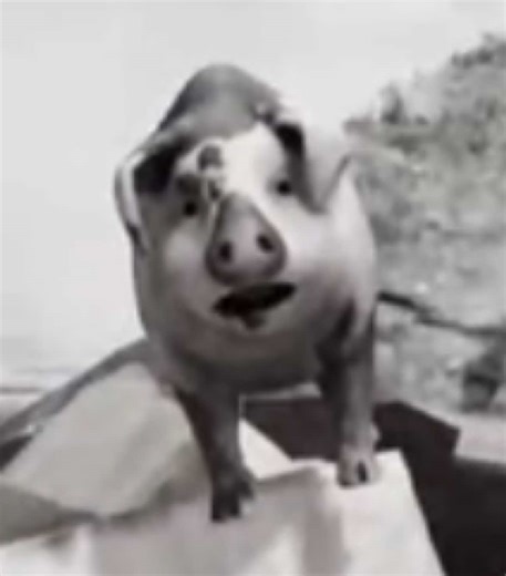 Exploring Split Fiction Games: A Unique Experience