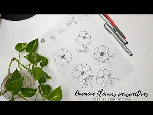 How to draw different Anemone flower perspectives. Step by step tutorial for beginners.