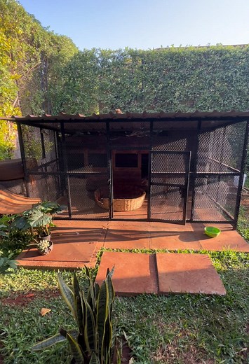 Perfect Dog Kennel Set-Up for German Shepherds