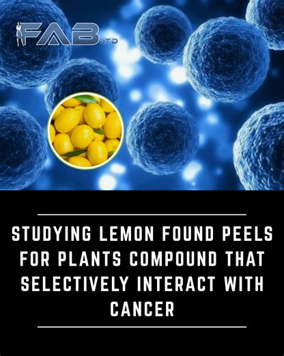 This is not about miracle cures. This is about understanding what nature has already engineered and what the public has never been taught to question. I am Dr. Farrah, and today we are going where headlines stop and molecular truth begins. The Part of the Lemon You Were Taught to Throw Away For decades, researchers have known that plant foods contain far more than vitamins and fiber. They contain bioactive phytochemicals that influence enzymes, signaling pathways, and gene expression inside huma