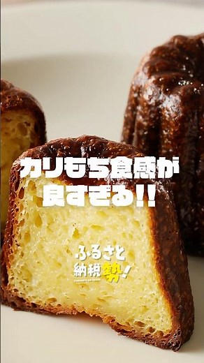 初心者必見！後悔しない返礼品#ふるさと納税
