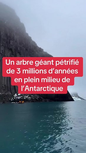 Colline d'Édimbourg, Shetland du Sud, Péninsule Antarctique.