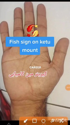 Fish sign on palm #palmistry #shorts #Palm_Reading | Astro Palmist Abid