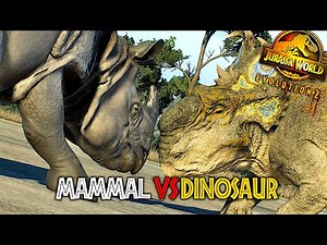 Indian Rhino Vs Pachyrhinosaurus EPIC BATTLE ! Mammal Vs Dinosaur Jurassic World Evolution 2 !