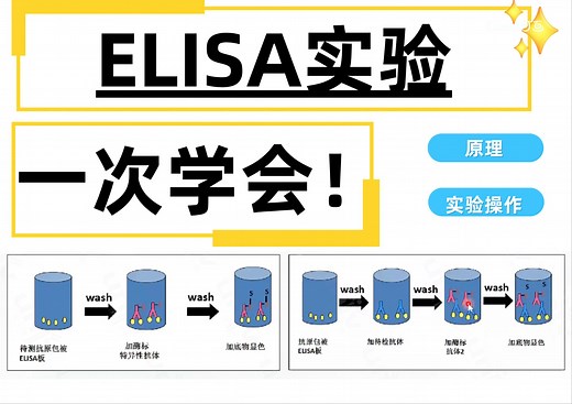 ELISA实验全程教学，一次学会！