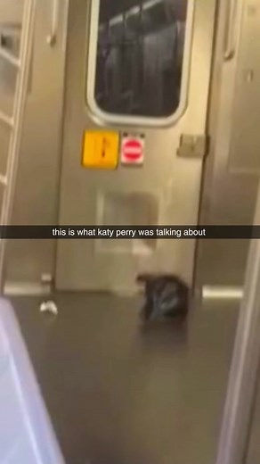 Hilarious Plastic Bag Meme Compilation