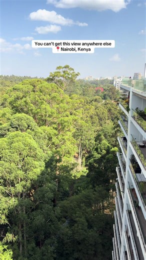 Luxury Apartments Overlooking Karura Forest in Nairobi