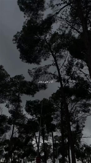 #بدون_موسيقى #fyp