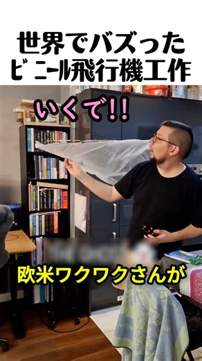 The vinyl airplane craft that went viral around the world