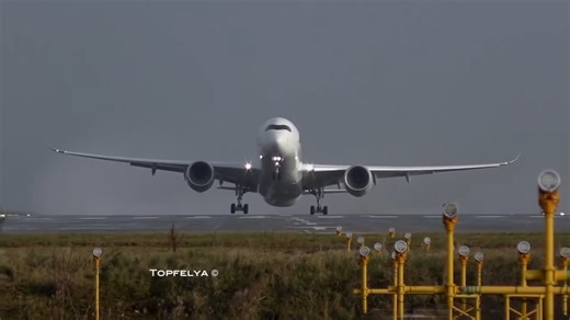 Watch how plane wings bend without breaking