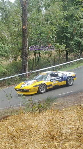 Ferrari 308 GTB Gr.4 L'unica Ferrari da Rally che ha fatto il Podio nel WRC - Storia, Motore e in €?
