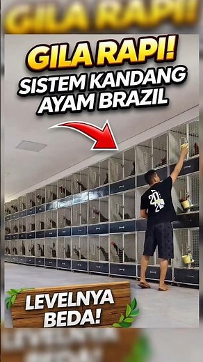 "Crazy Neat! The Brazilian Chicken Coop System That Dramatically Improves Quality" #ModernFarming...