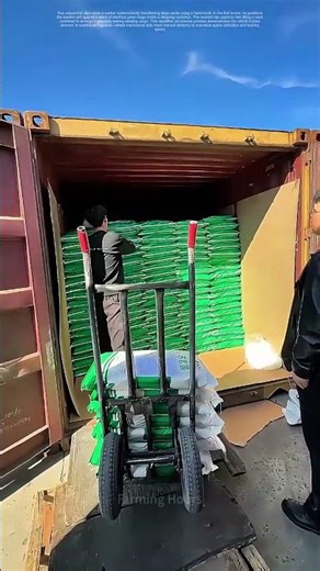 Logistics in Motion: Manual Labor Powers Supply Chain Efficiency