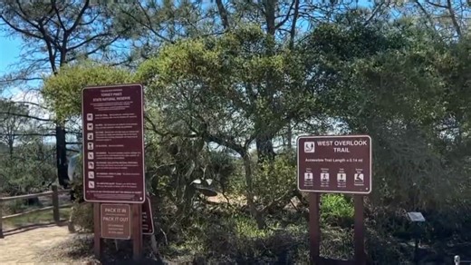 Torrey Pines State Reserve reopens after four-month closure
