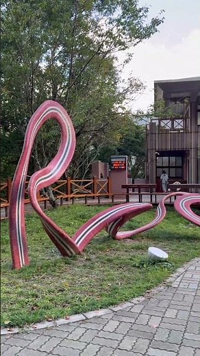 造訪拉拉山國家森林遊樂區-桃園市復興區