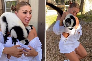 Playboy model freaks out after getting groped by frisky lemur