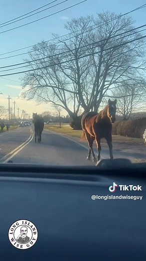 Exploring North Fork Long Island Attractions