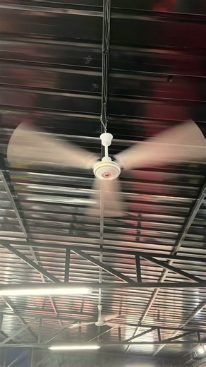 Muscle fitness Gym (@musclefitness_gym)’s videos with original sound - Muscle fitness Gym