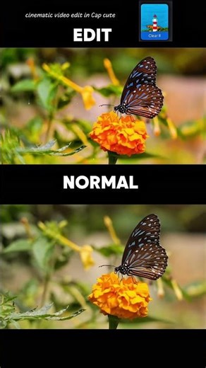 colour grading video 📷 in cap cut #colour #grading #capcut #shorts #video