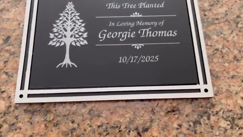 Bronze Memorial Plaque - Outdoor Memorial Sign - Bronze Memorial Plaque - Engraved Tree Sign - Outdoor Garden Sign - Memorial Stake Plaque - Etsy