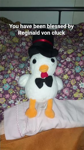 Reginald von cluck #animals #chicken #graystillplays #shorts