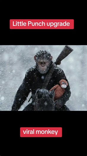 Baby Monkey Punch Update: Growing Strong!