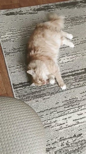 2 марта 2026 г.