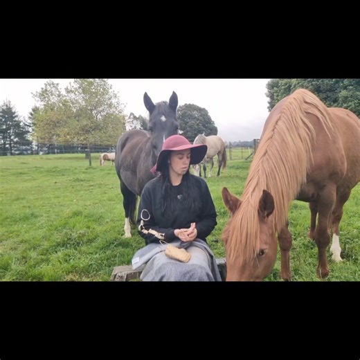 43K views · 692 reactions | The way they come walking over 凉 it's been a heavy week, but I love that my hōiho are there to hold space at the end of it all  | Ellie O'Brien | Facebook