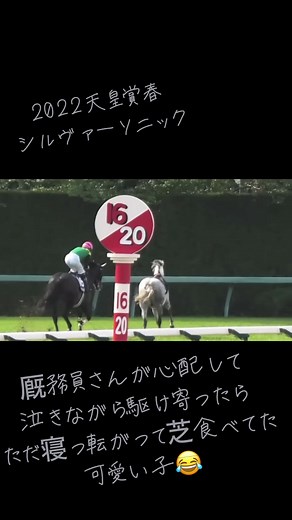 シルヴァーソニックと天皇賞 - 可愛い落馬の瞬間
