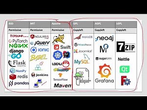 Software Licensing (Permissive / Copyleft)