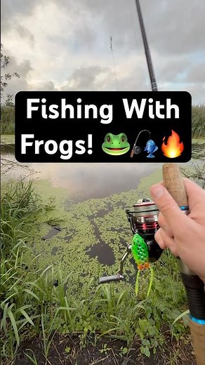 Fishing with Frogs! 🐸🎣🔥