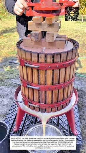 Traditional Apple Pressing Process | Fresh Apple Juice Extraction #9work