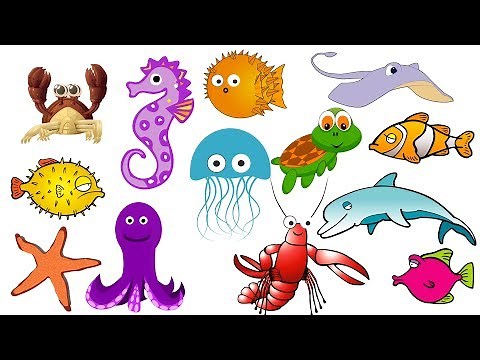 English & Chinese Sea World Compilation 海洋动物大集合(中英文)