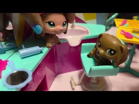 Lps Beauty Salon #lpsvideos #lps #littlestpetshopvideos