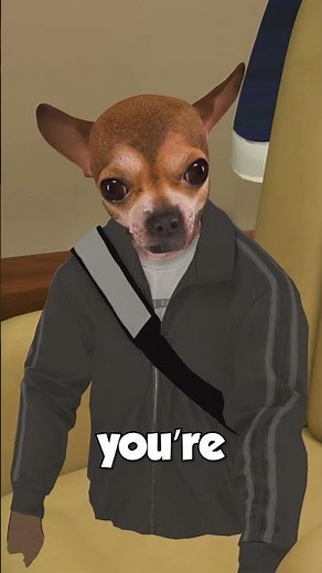 Aiderraider Goes To THE Island