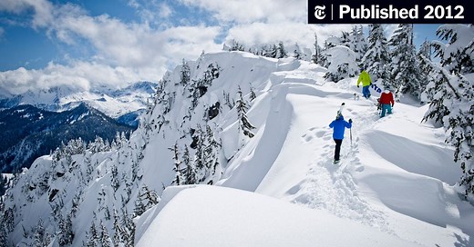 Snow Fall: The Avalanche at Tunnel Creek