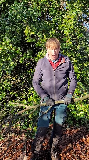 Target Points!  Quick explanation by Colin of what we are looking to do when performing a crown reduction, in this case on a mature Beech tree that has a very wide canopy that was spreading over the garage roof. #wintertreework #wintertreesugery #targetpoint #targetpoints #bscforestry #professionaltreesurgeon #tamarvalley #harrowbarrow #silkysaw #stihlwinter | Colin Chadwick Tree Specialist | Facebook