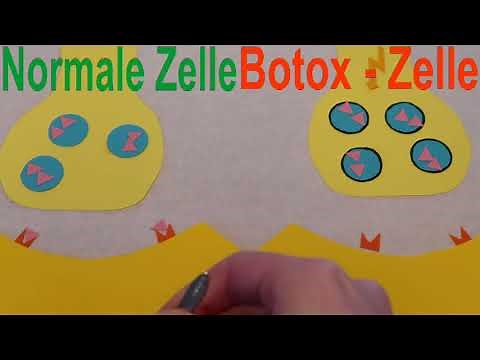 Bio Botox Nervengift - Synapse Reizübertragung Projektfilm