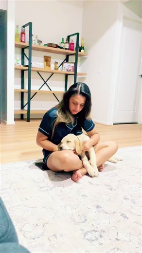 MILO (@milothe_lab)’s videos with original sound - Handsome_Saske