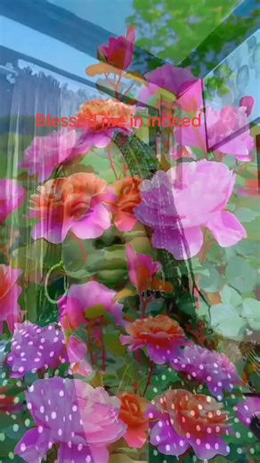 Queen Lotoya (@lotoyapeccoo230)’s videos with Bless Me (The Prayer Of Jabez) - Donald Lawrence & The Tri-City Singers